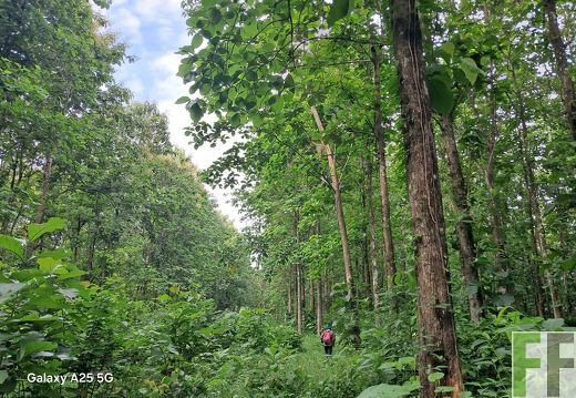 Waldbegehung 2025 Ojo de Agua II