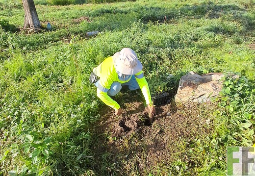 Pflegemaßnahmen 2025