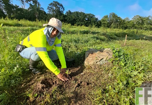 Pflegemaßnahmen 2025