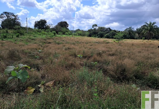 Pflegemaßnahmen 2025