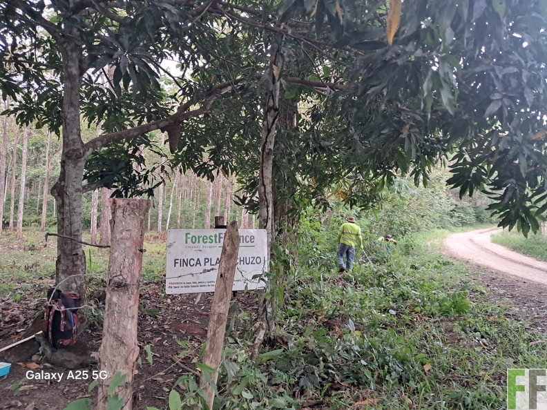 WhatsApp Image 2025-06-06 at 9.26.46 AM.jpeg