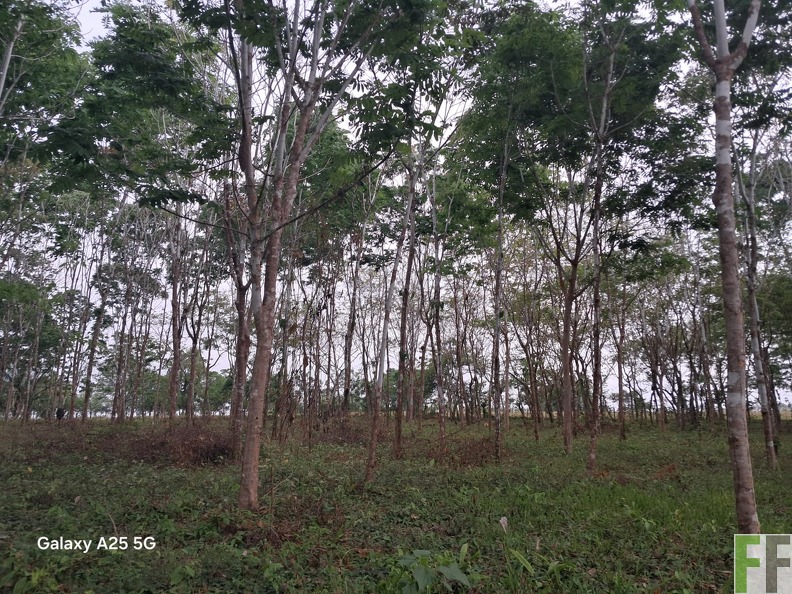 WhatsApp Image 2025-06-06 at 9.26.47 AM (2).jpeg