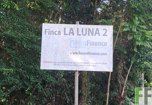 Waldbegehung 2025 Luna II