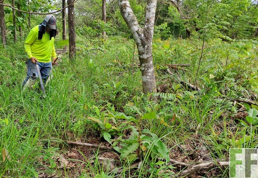 Waldbegehung 2025 San Juan III