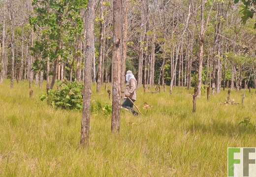 Waldbegehung 2025 San Juan VII