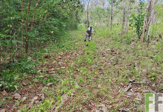 Waldbegehung 2025 San Juan VII