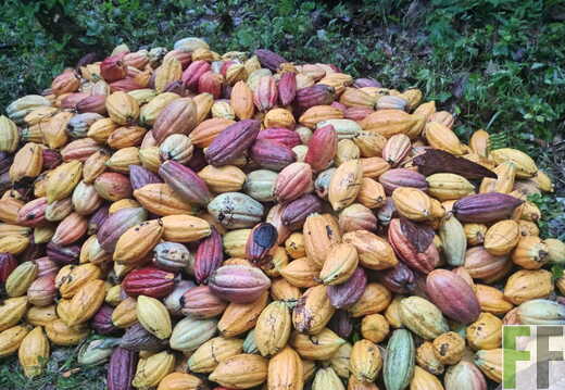 Quebrada Pitti II Bilder Februar 2026