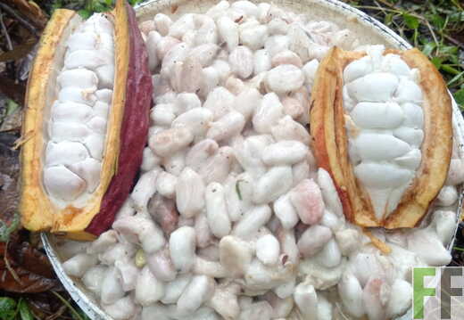 Quebrada Pitti II Bilder Februar 2026