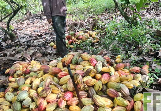 Quebrada Pitti II Bilder Februar 2026