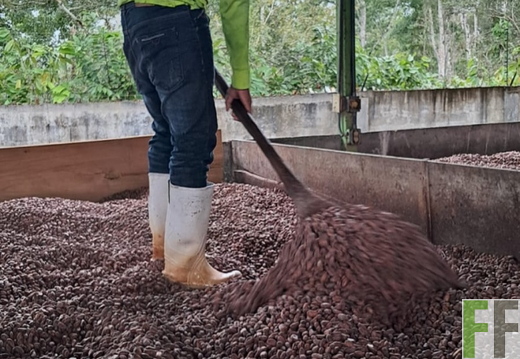 Quebrada Pitti II Bilder Februar 2026