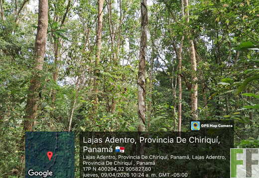 Los Monos 2 April 2026