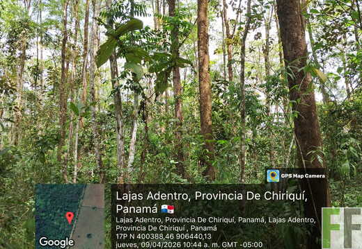 Los Monos 4 April 2026