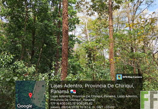 Los Monos 4 April 2026