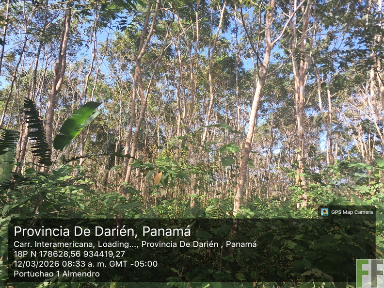 20260312_83305a_ m_ByGPSMapCamera.jpg