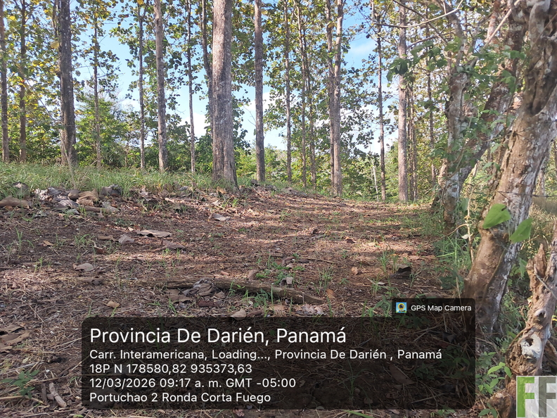 20260312_91737a_ m_ByGPSMapCamera.jpg