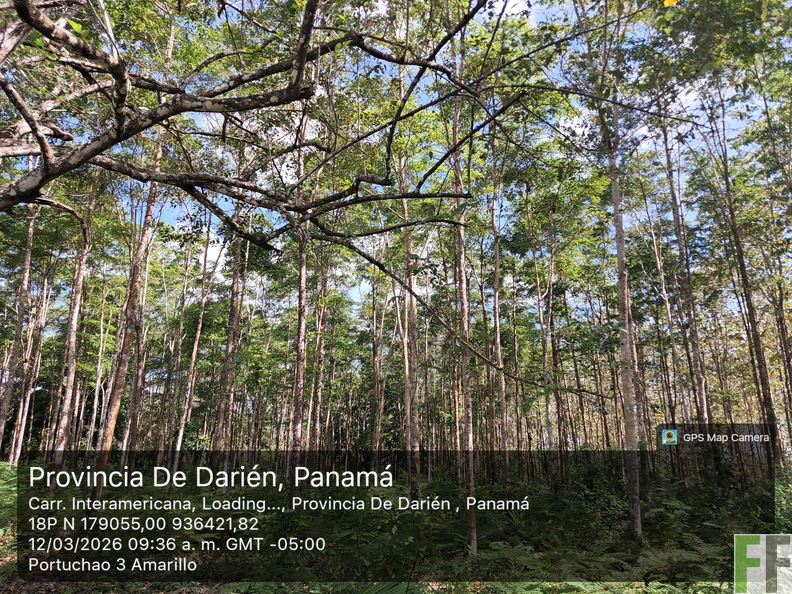 20260312_93626a_ m_ByGPSMapCamera.jpg