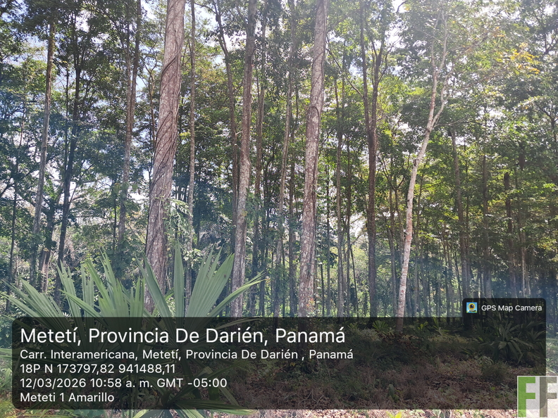 20260312_105850a_ m_ByGPSMapCamera.jpg