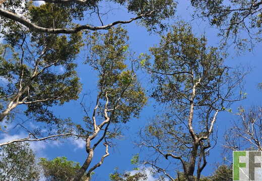 Waldbegehung April 2026