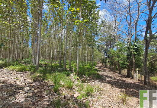 Waldbegehung April 2026